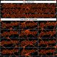 Custom Black Orange 3D Pattern Design Abstract Network Performance T-Shirt
